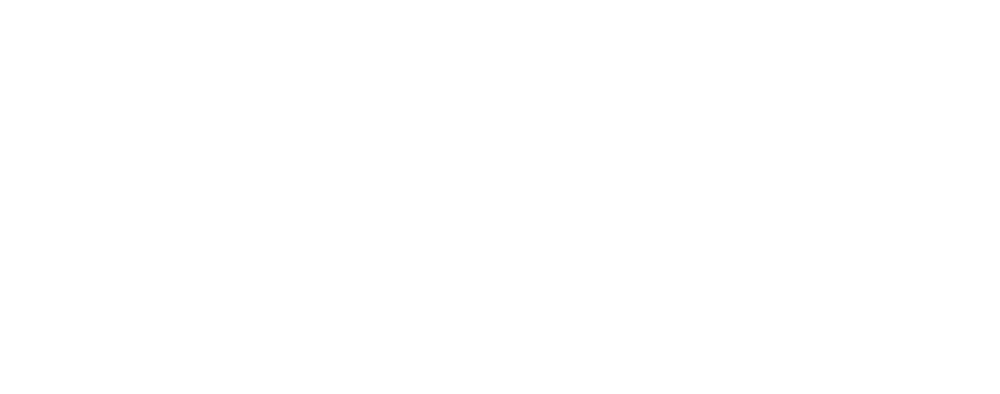 Google Premier Partner